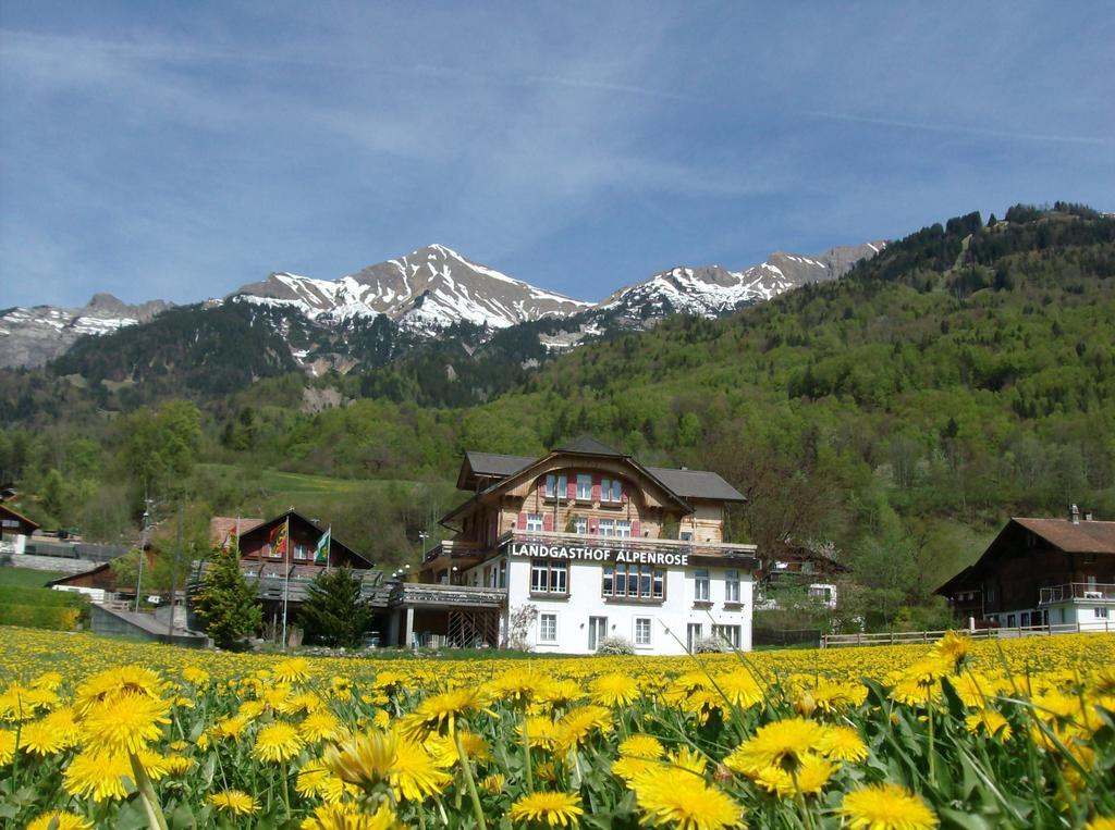 Hotel Alpenrose Beim Ballenberg Hofstetten bei Brienz Extérieur photo