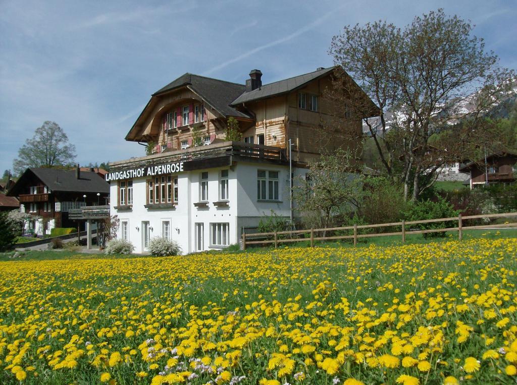 Hotel Alpenrose Beim Ballenberg Hofstetten bei Brienz Extérieur photo